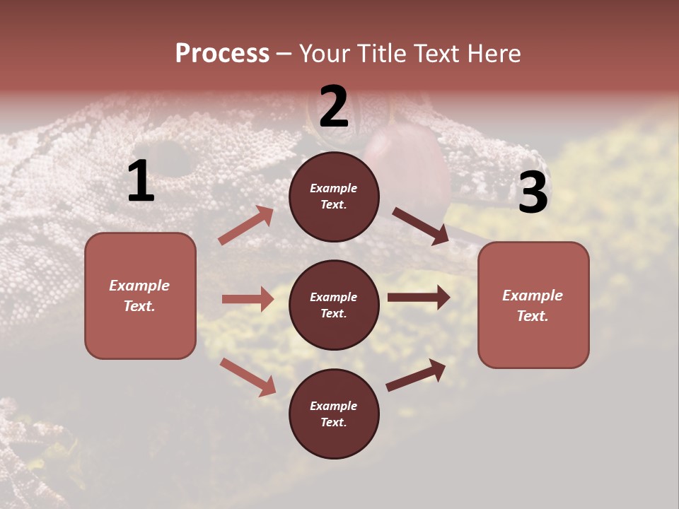 Gargoyle Gecko PowerPoint Template