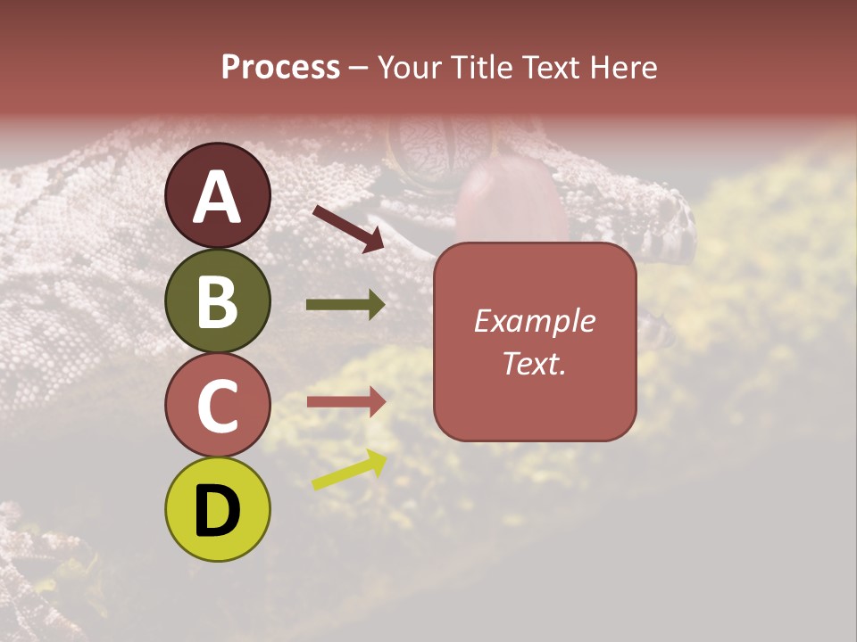 Gargoyle Gecko PowerPoint Template