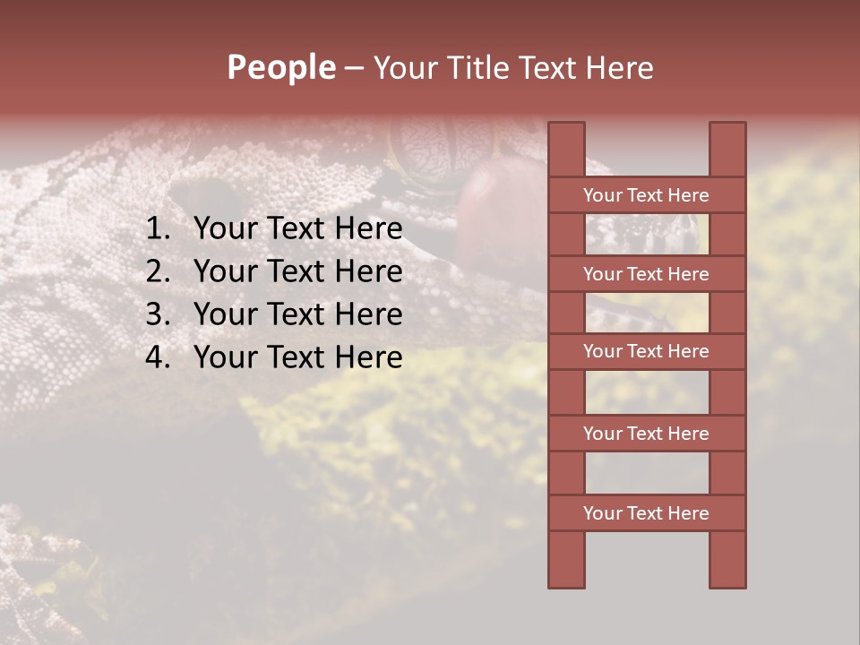 Gargoyle Gecko PowerPoint Template