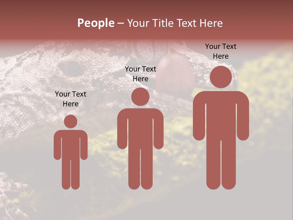 Gargoyle Gecko PowerPoint Template