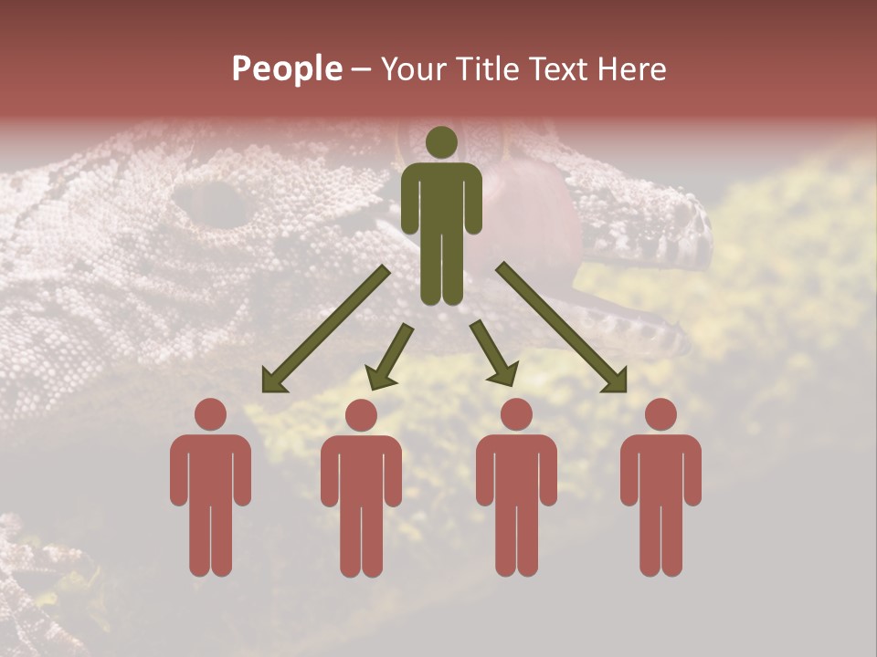 Gargoyle Gecko PowerPoint Template