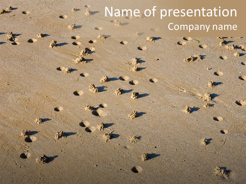 Low Tide. Lugworm (Arenicola Marina) Casts On A Beach PowerPoint Template