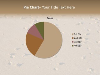 Low Tide. Lugworm (Arenicola Marina) Casts On A Beach PowerPoint Template