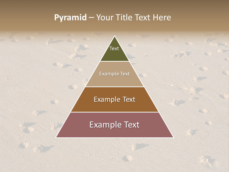 Low Tide. Lugworm (Arenicola Marina) Casts On A Beach PowerPoint Template