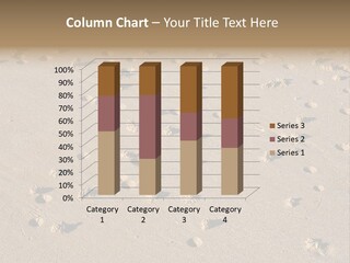 Low Tide. Lugworm (Arenicola Marina) Casts On A Beach PowerPoint Template