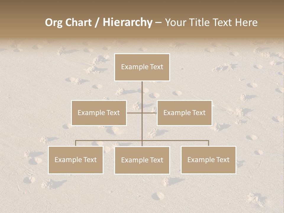 Low Tide. Lugworm (Arenicola Marina) Casts On A Beach PowerPoint Template