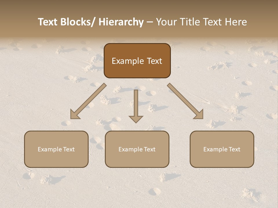 Low Tide. Lugworm (Arenicola Marina) Casts On A Beach PowerPoint Template