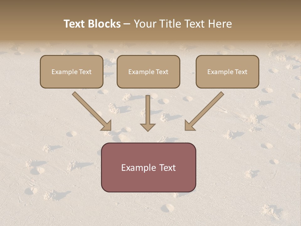 Low Tide. Lugworm (Arenicola Marina) Casts On A Beach PowerPoint Template