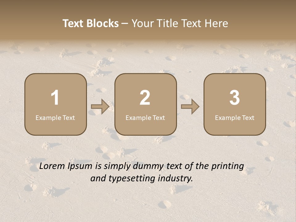 Low Tide. Lugworm (Arenicola Marina) Casts On A Beach PowerPoint Template