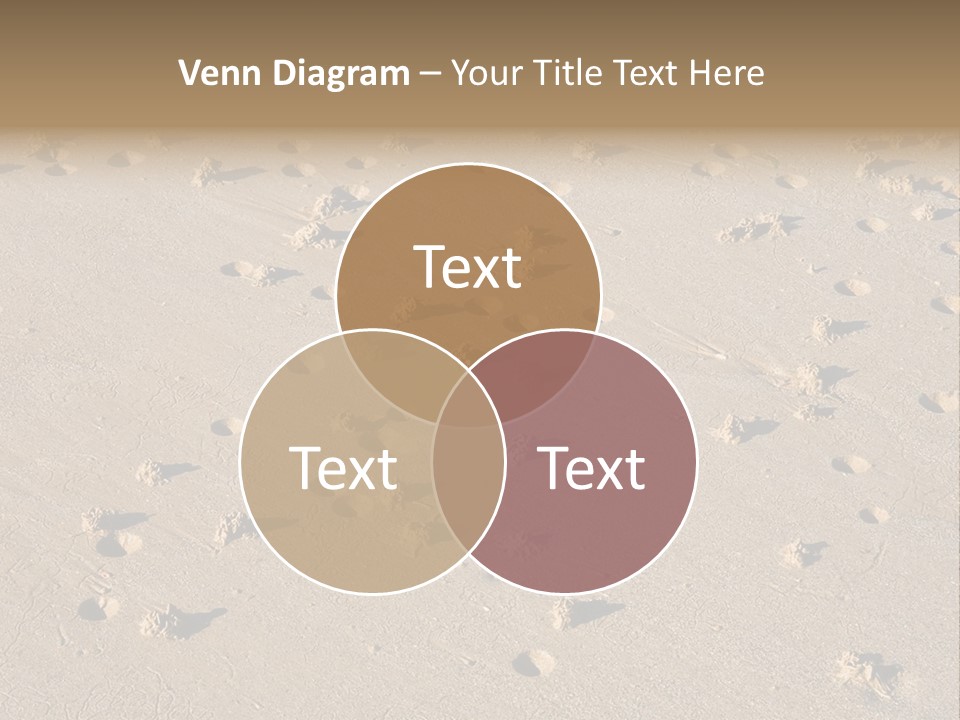 Low Tide. Lugworm (Arenicola Marina) Casts On A Beach PowerPoint Template