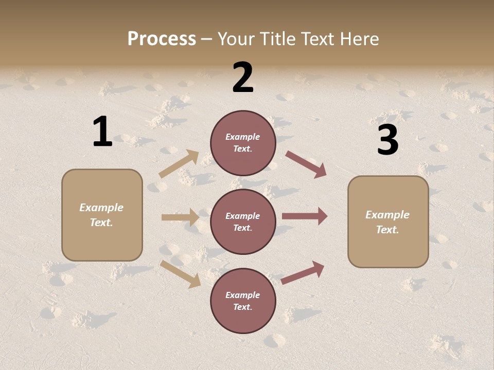 Low Tide. Lugworm (Arenicola Marina) Casts On A Beach PowerPoint Template