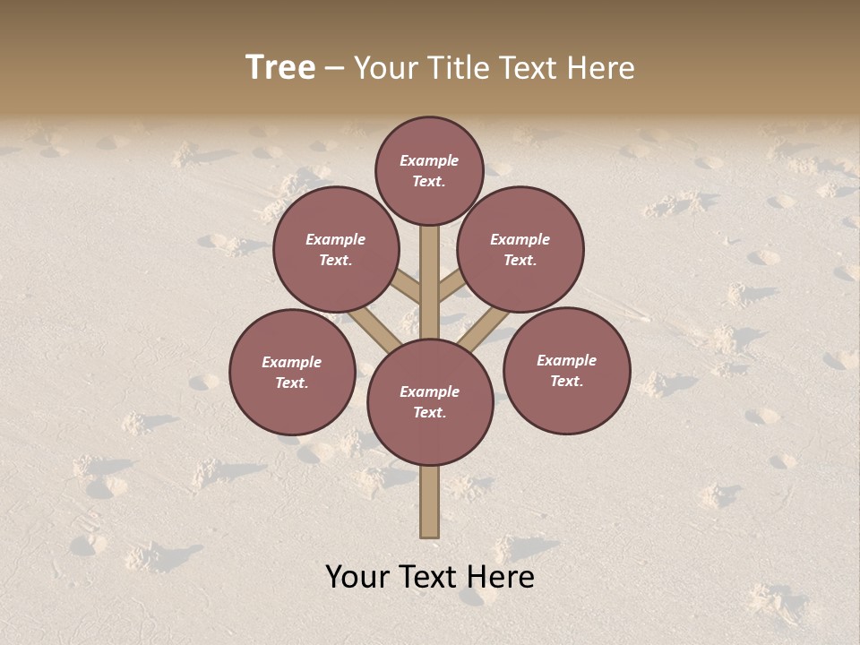 Low Tide. Lugworm (Arenicola Marina) Casts On A Beach PowerPoint Template
