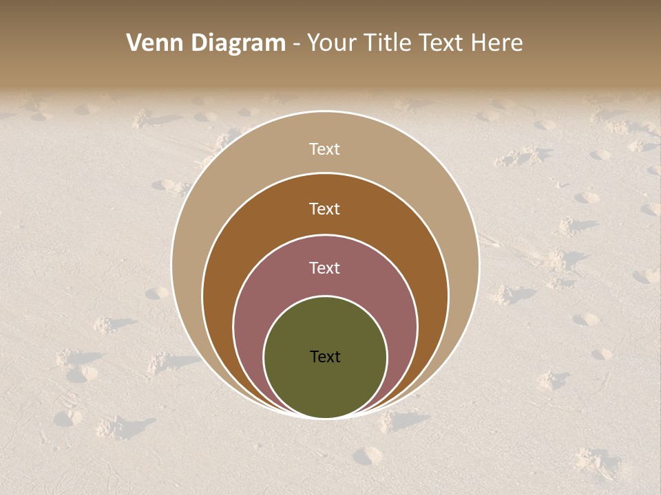 Low Tide. Lugworm (Arenicola Marina) Casts On A Beach PowerPoint Template