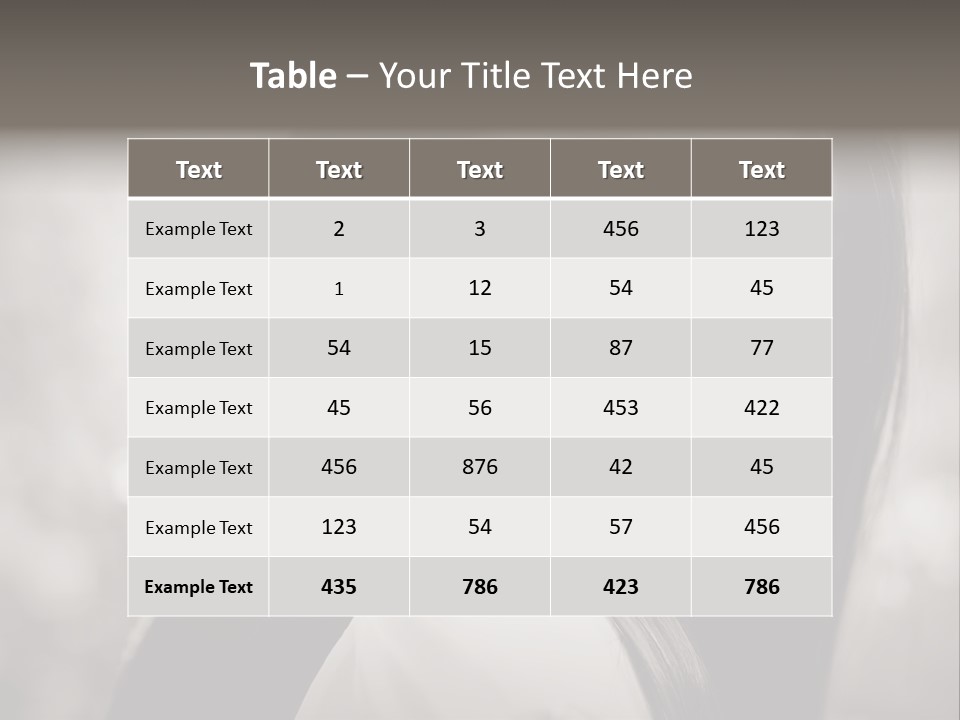 Young Woman Portrait. Black And White. PowerPoint Template