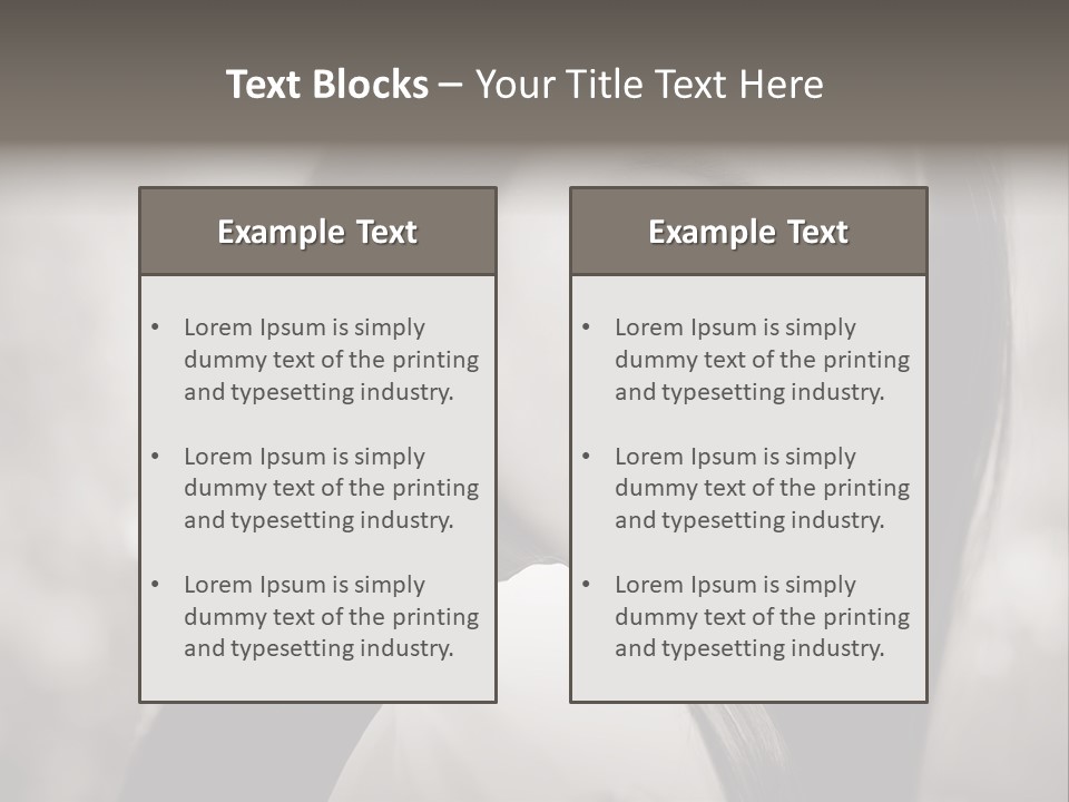 Young Woman Portrait. Black And White. PowerPoint Template