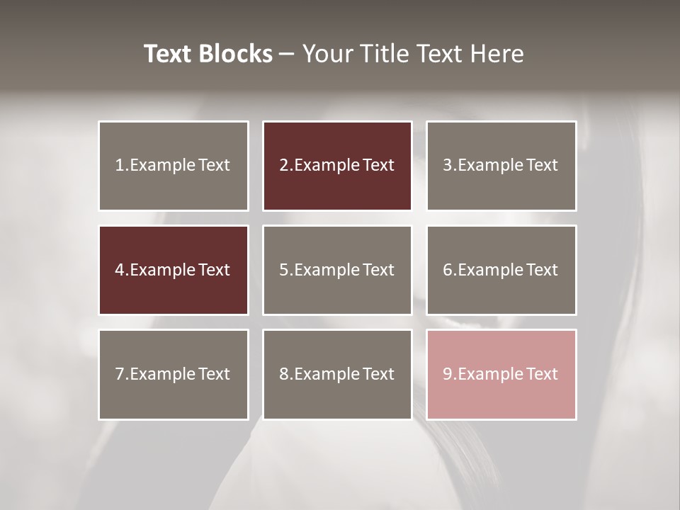 Young Woman Portrait. Black And White. PowerPoint Template