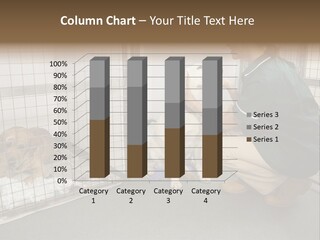 Vetinary Nurse Checking Sick Animals In Pens PowerPoint Template