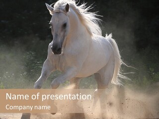 A White Horse Galloping Through A Dusty Field PowerPoint Template