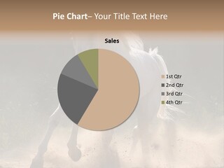 A White Horse Galloping Through A Dusty Field PowerPoint Template