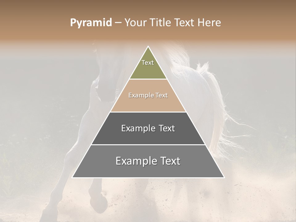 A White Horse Galloping Through A Dusty Field PowerPoint Template
