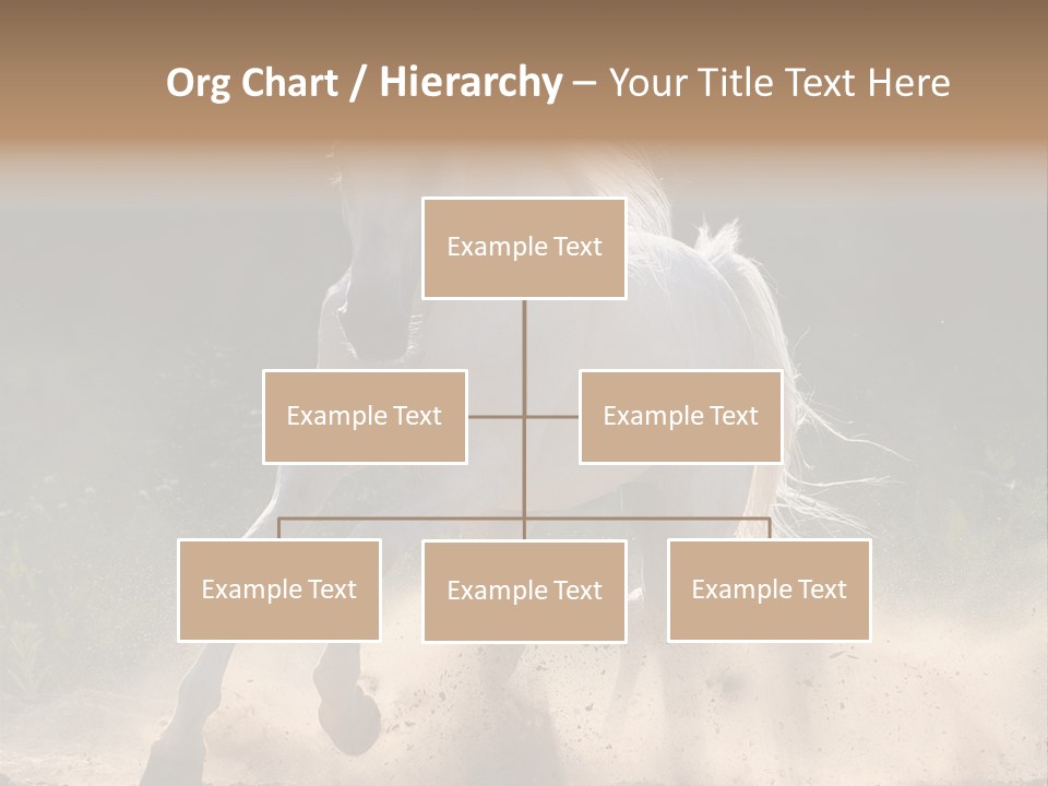 A White Horse Galloping Through A Dusty Field PowerPoint Template