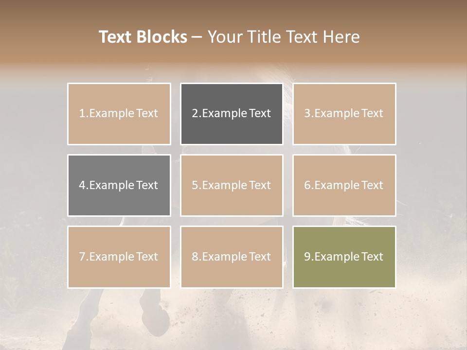 A White Horse Galloping Through A Dusty Field PowerPoint Template