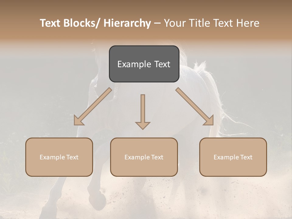 A White Horse Galloping Through A Dusty Field PowerPoint Template