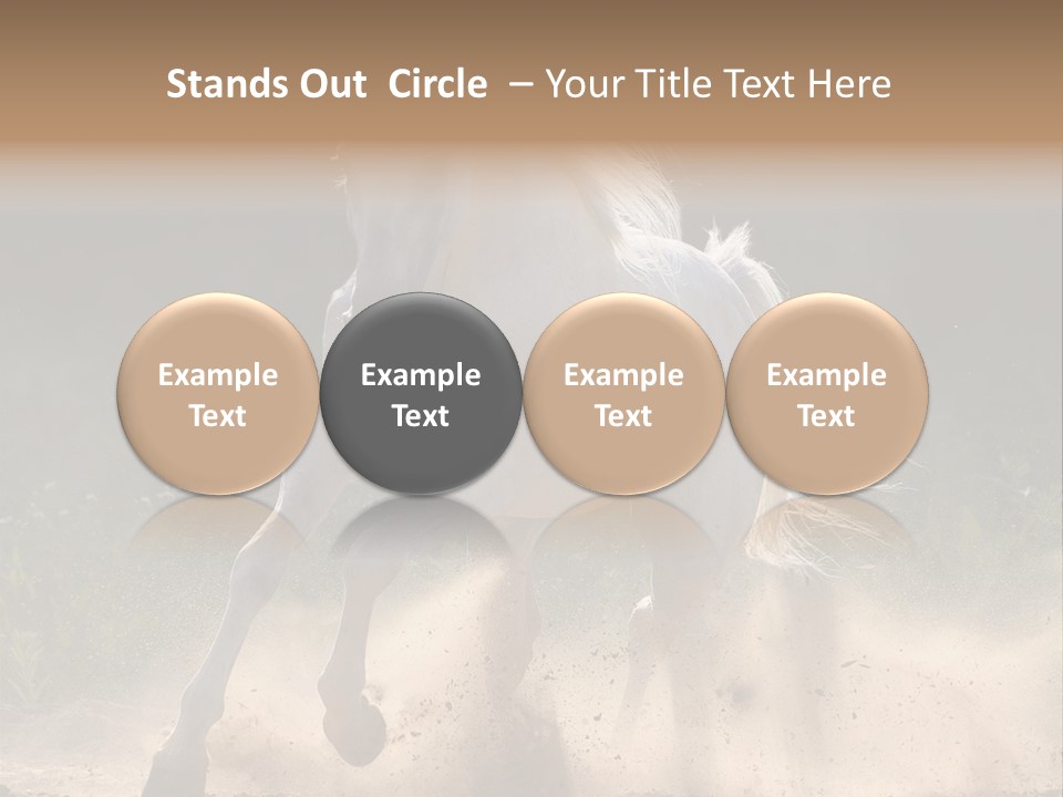 A White Horse Galloping Through A Dusty Field PowerPoint Template