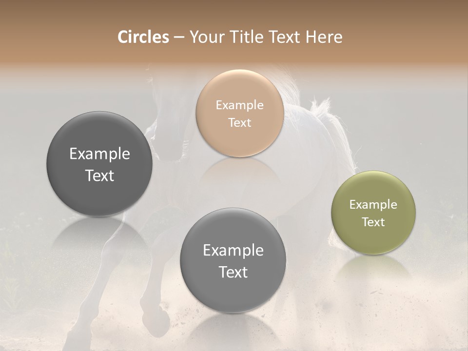 A White Horse Galloping Through A Dusty Field PowerPoint Template