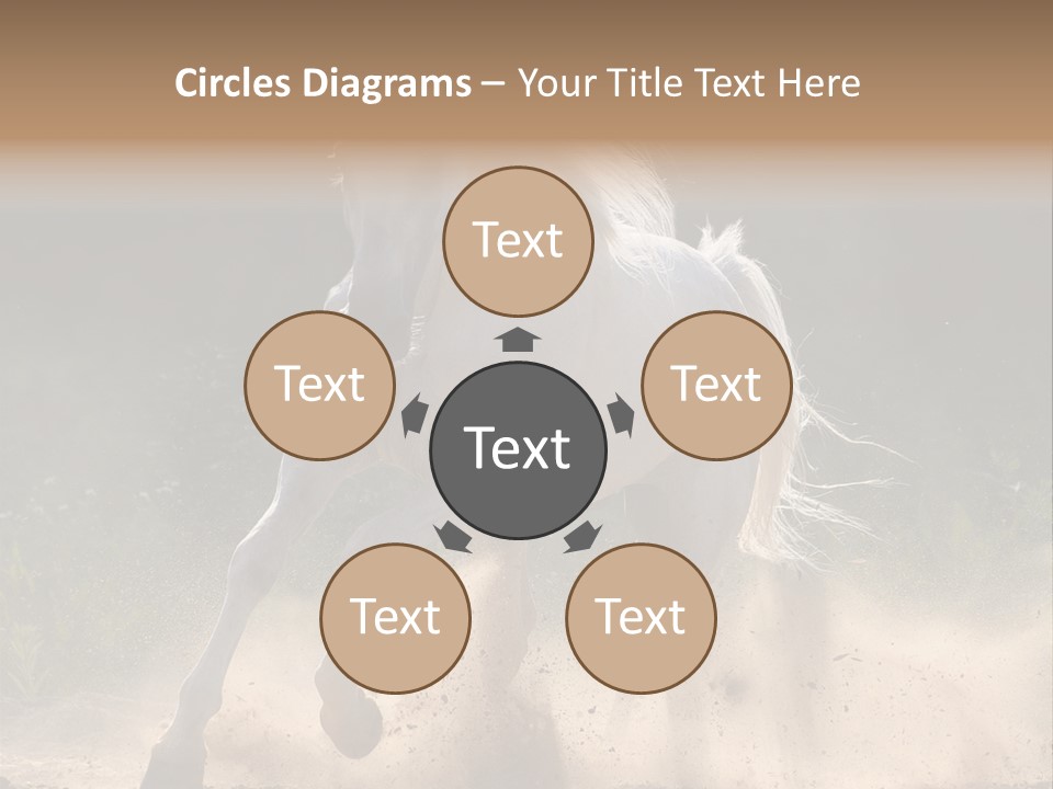 A White Horse Galloping Through A Dusty Field PowerPoint Template