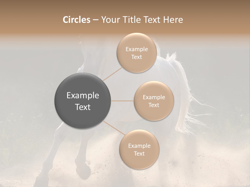 A White Horse Galloping Through A Dusty Field PowerPoint Template