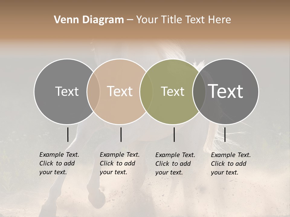 A White Horse Galloping Through A Dusty Field PowerPoint Template