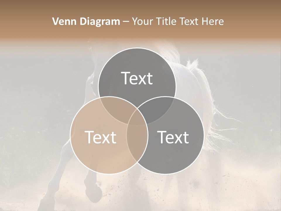 A White Horse Galloping Through A Dusty Field PowerPoint Template