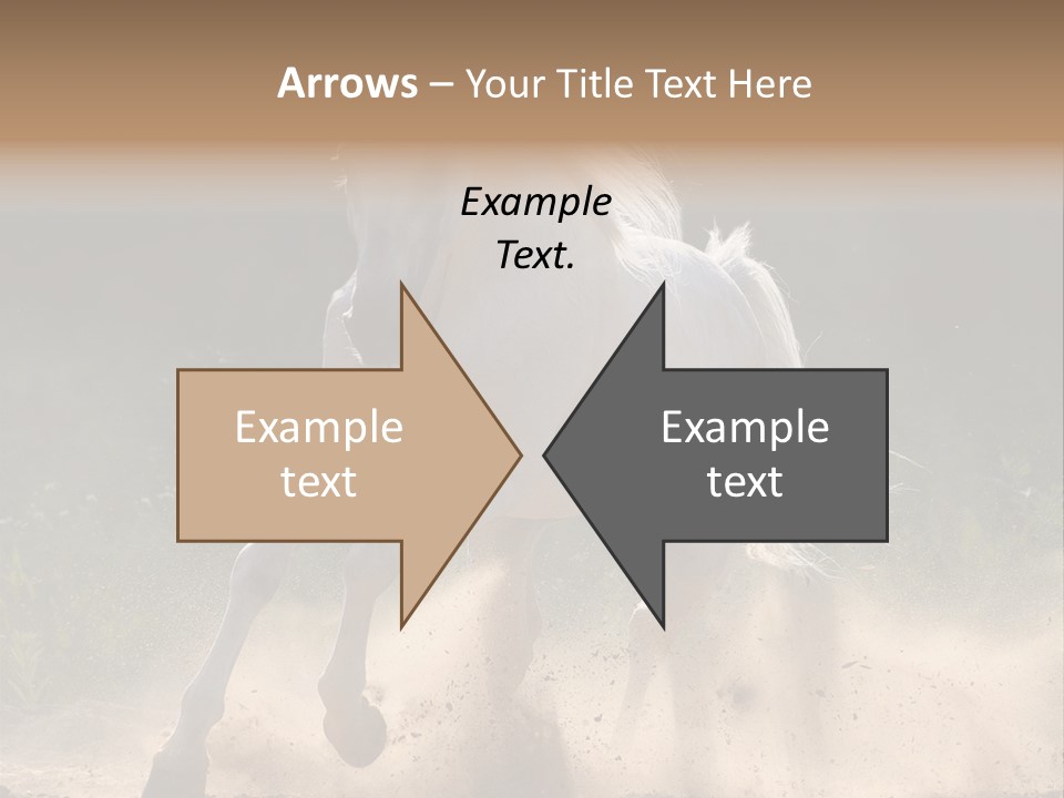 A White Horse Galloping Through A Dusty Field PowerPoint Template