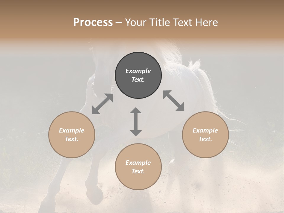 A White Horse Galloping Through A Dusty Field PowerPoint Template