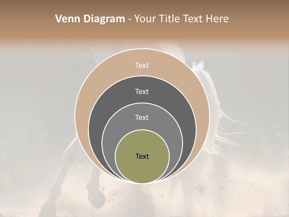 A White Horse Galloping Through A Dusty Field PowerPoint Template