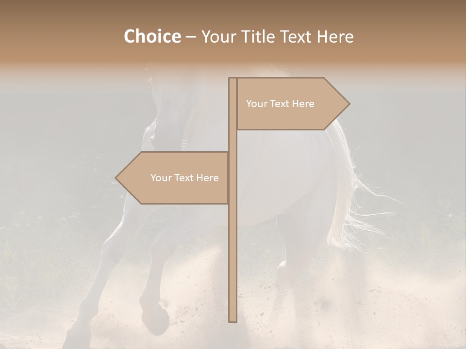 A White Horse Galloping Through A Dusty Field PowerPoint Template