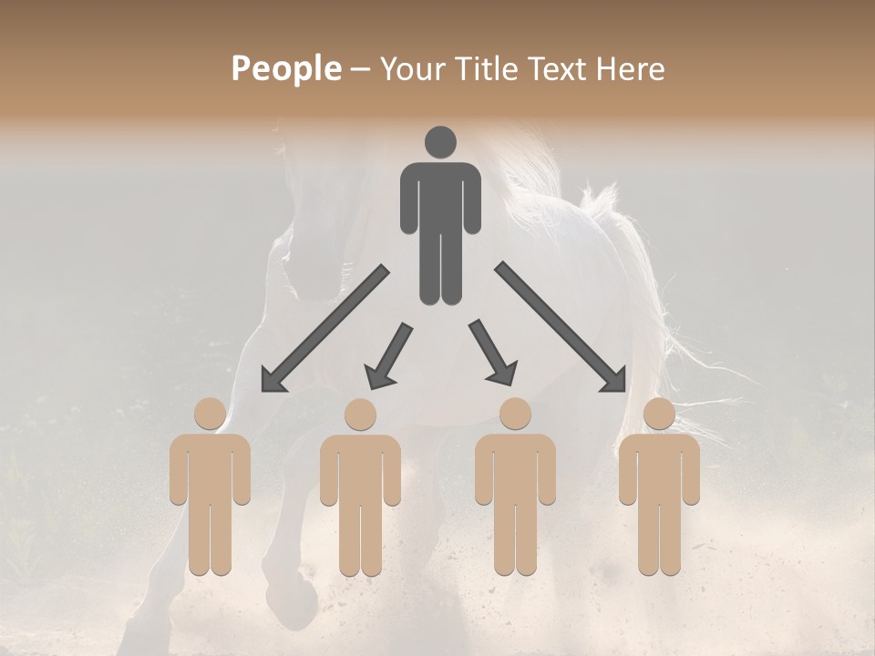 A White Horse Galloping Through A Dusty Field PowerPoint Template