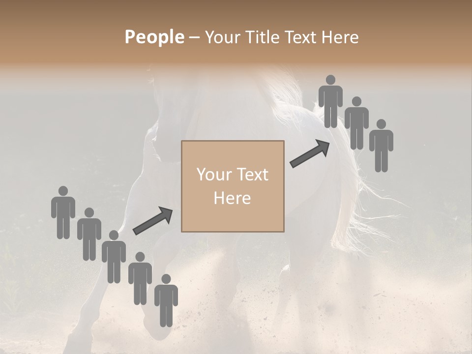 A White Horse Galloping Through A Dusty Field PowerPoint Template