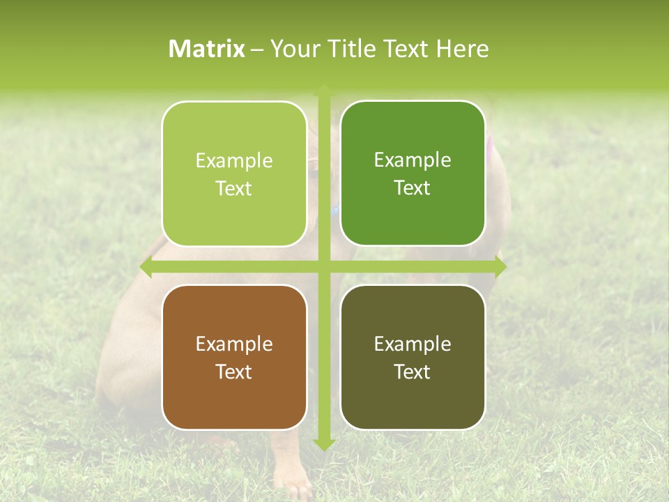 Girl Stands In Poppy Field PowerPoint Template