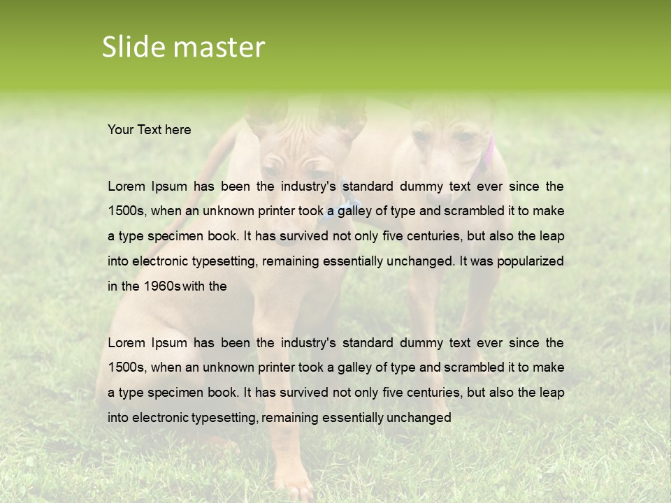 Girl Stands In Poppy Field PowerPoint Template