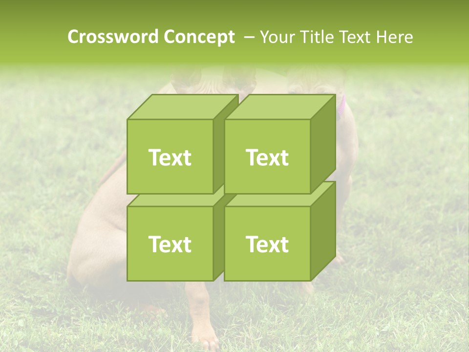 Girl Stands In Poppy Field PowerPoint Template