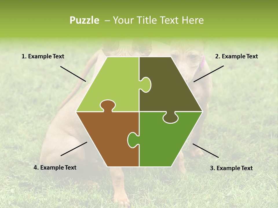 Girl Stands In Poppy Field PowerPoint Template