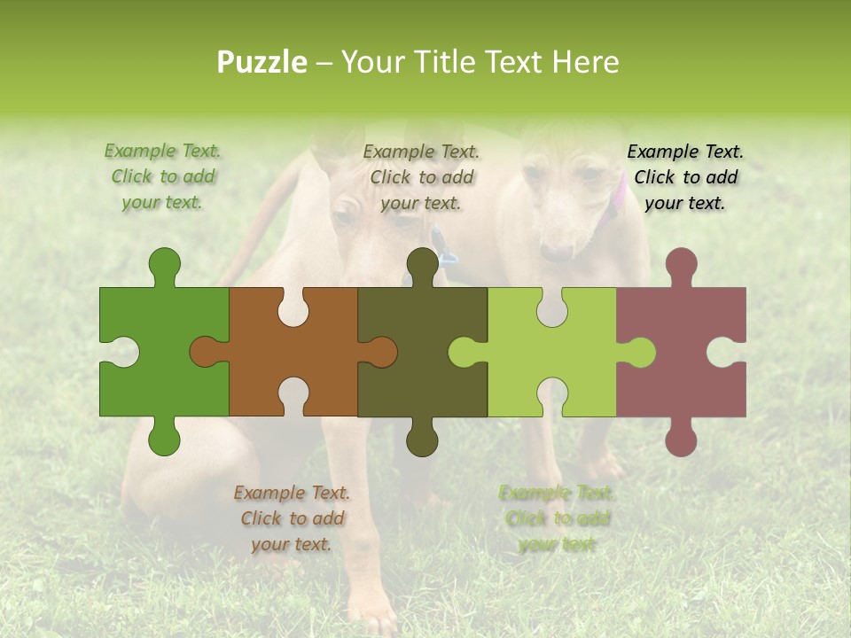 Girl Stands In Poppy Field PowerPoint Template