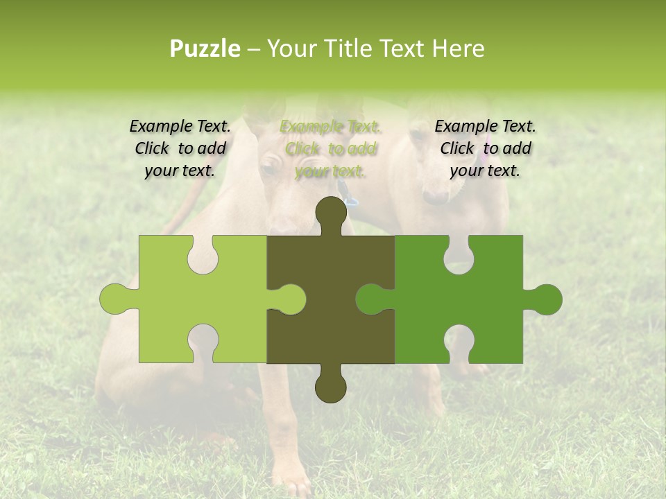 Girl Stands In Poppy Field PowerPoint Template