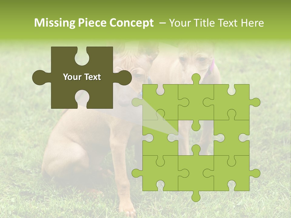 Girl Stands In Poppy Field PowerPoint Template