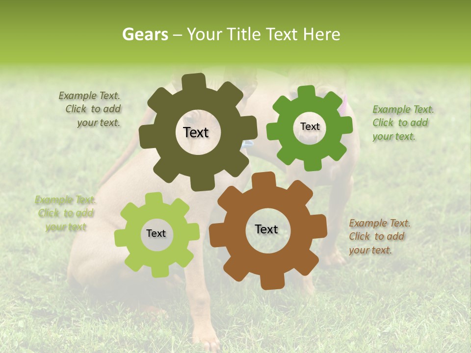 Girl Stands In Poppy Field PowerPoint Template