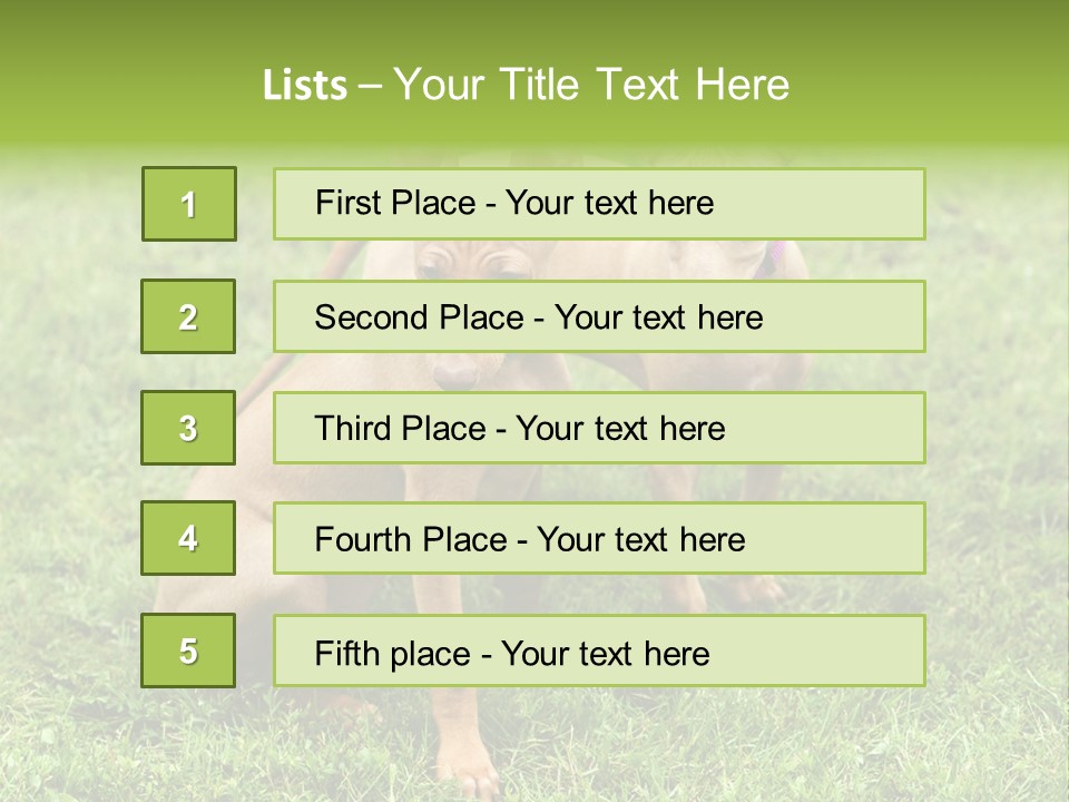 Girl Stands In Poppy Field PowerPoint Template