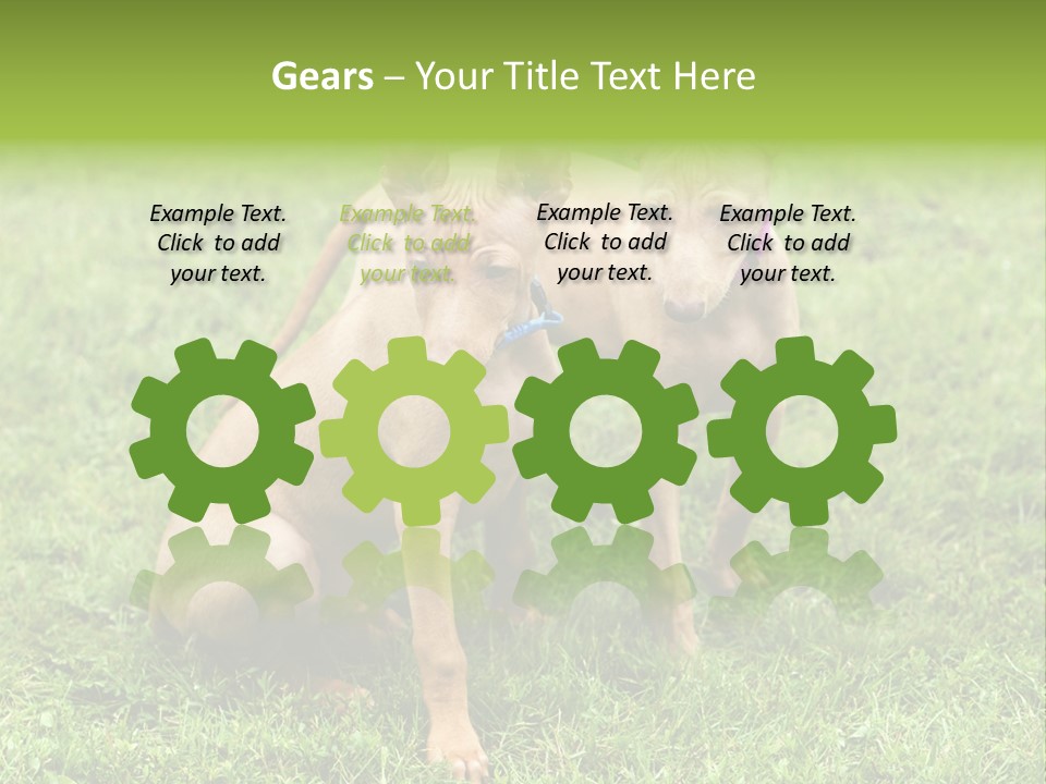 Girl Stands In Poppy Field PowerPoint Template