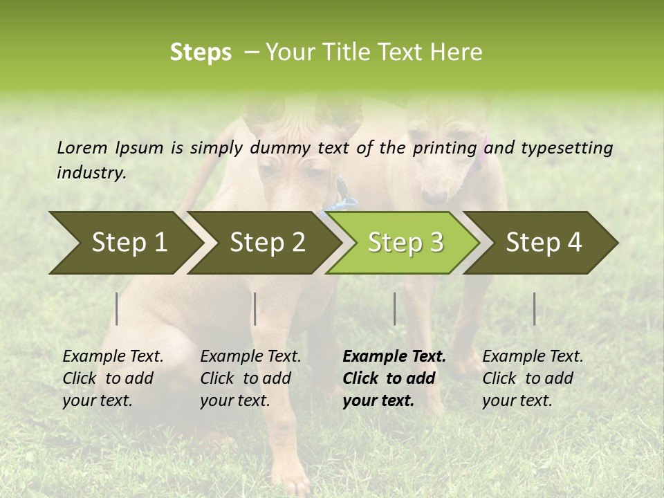 Girl Stands In Poppy Field PowerPoint Template